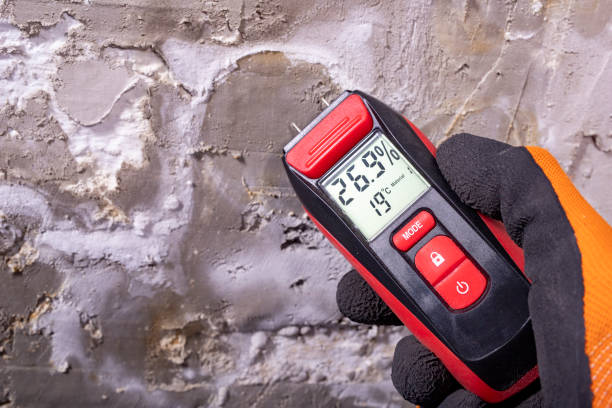 Best Crawl Space Mold Removal  in Redlands, CA