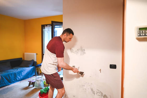 Best Affordable Mold Removal  in Redlands, CA
